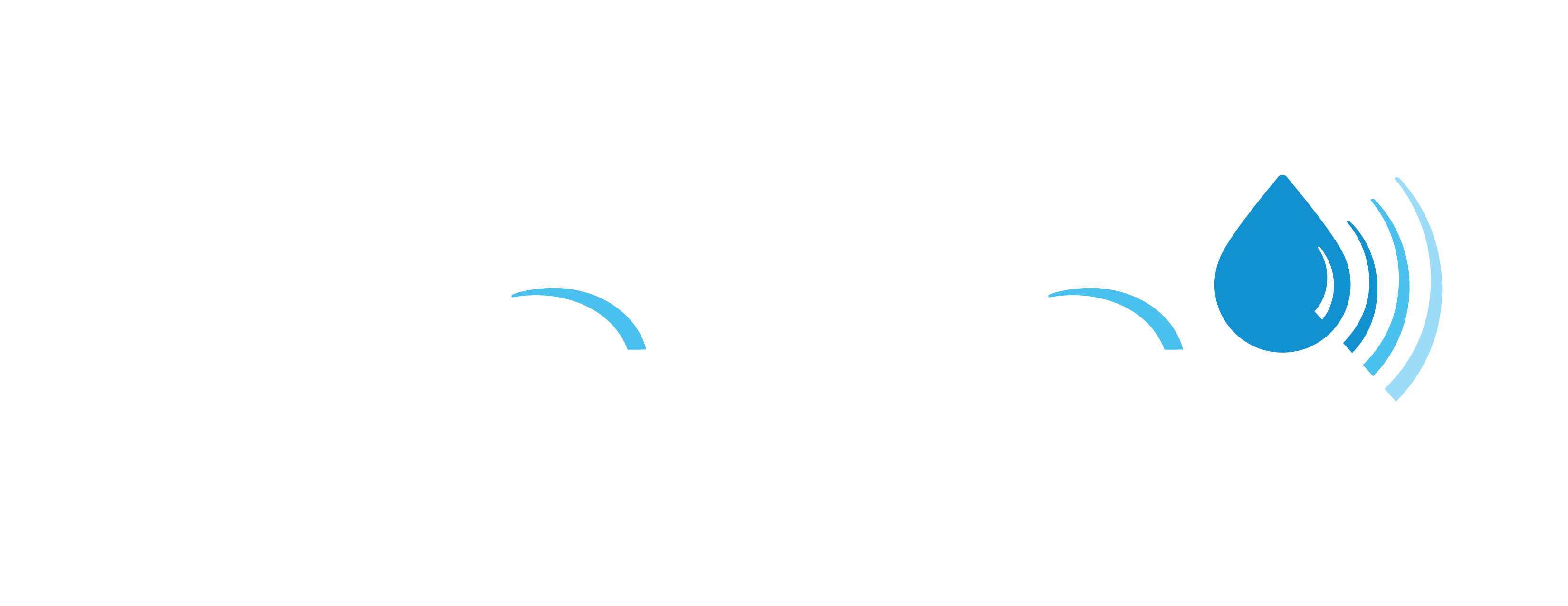 nacwa-logo-white-f